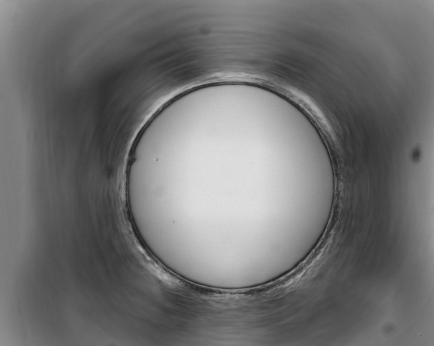 X0000100361236200806060816