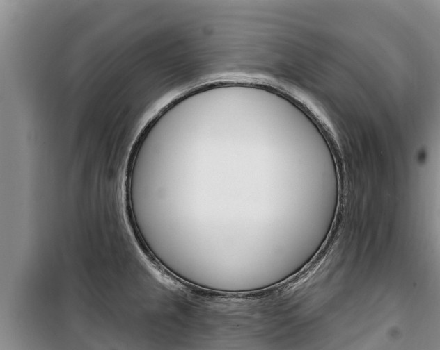 X0000100361237200806060816