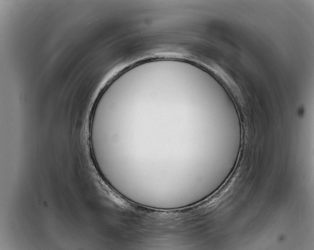 X0000100361240200806060816