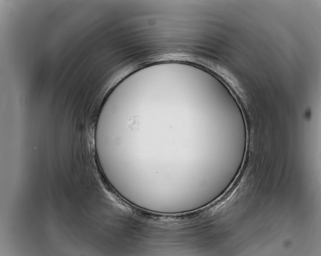 X0000100361241200806060816