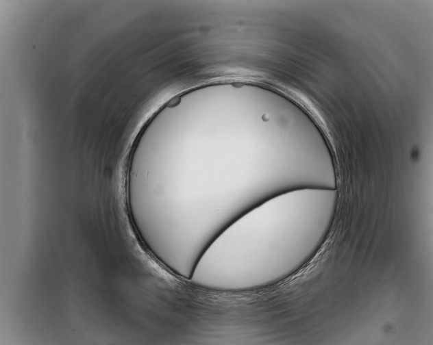 X0000100361243200806060816