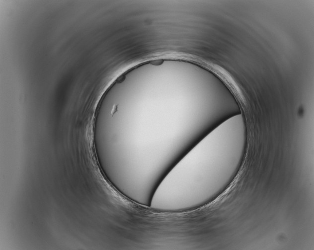 X0000100361244200806060816