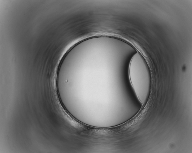 X0000100361246200806060816