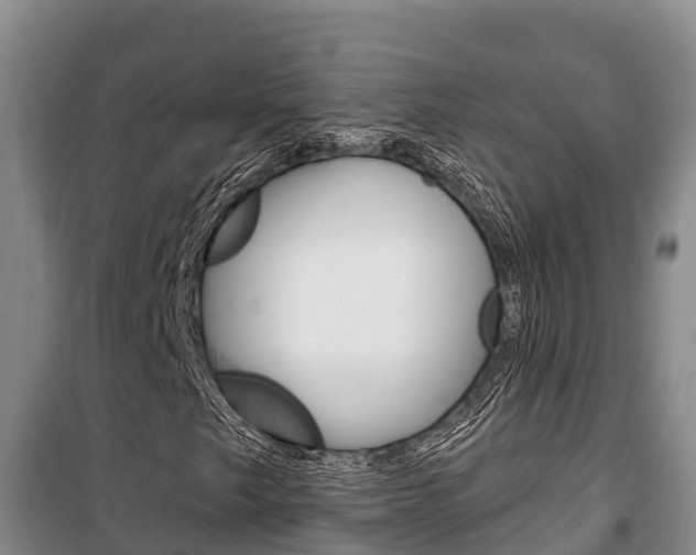 X0000100361249200806060815