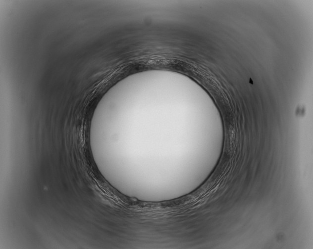 X0000100361250200806060815