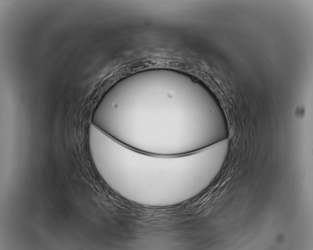X0000100361253200806060815