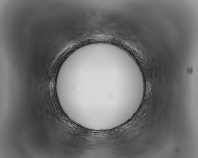 X0000100361254200806060815