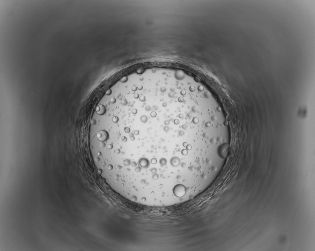 X0000100361255200806060815