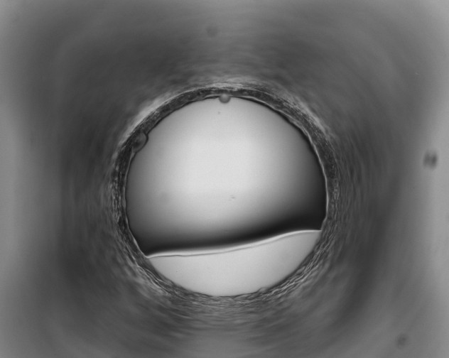 X0000100361256200806060815