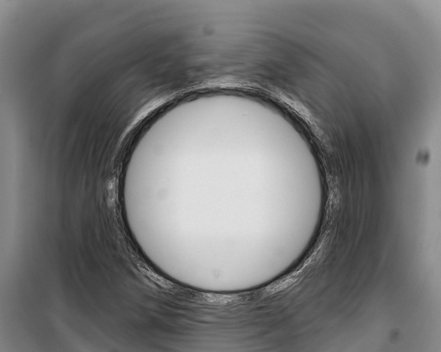 X0000100361258200806060815