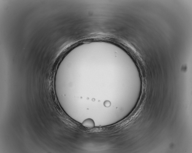X0000100361259200806060815