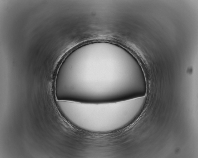 X0000100361260200806060815