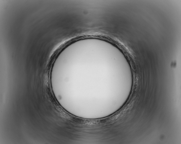 X0000100361262200806060815