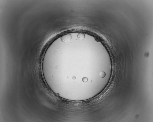 X0000100361263200806060815