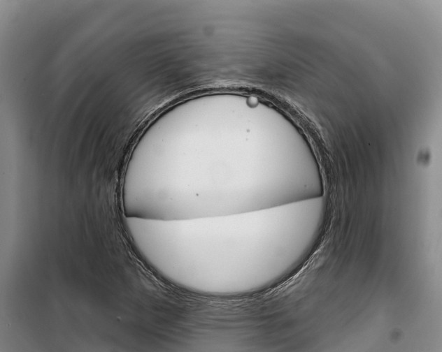 X0000100361265200806060815