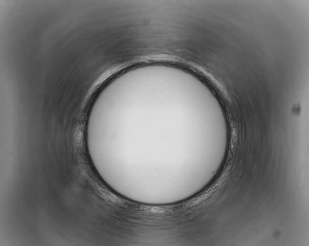 X0000100361266200806060815