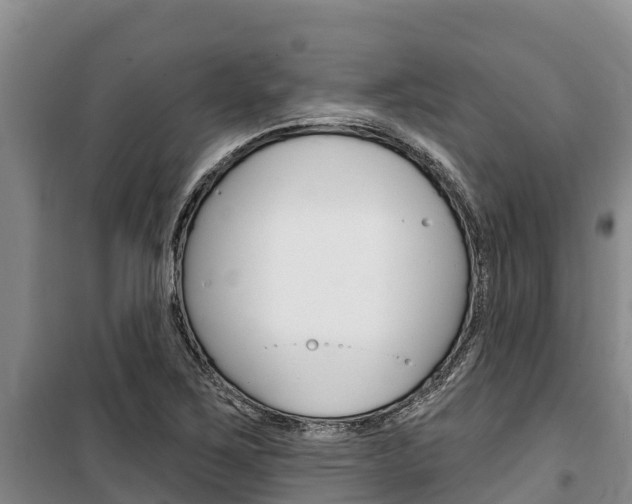 X0000100361267200806060815