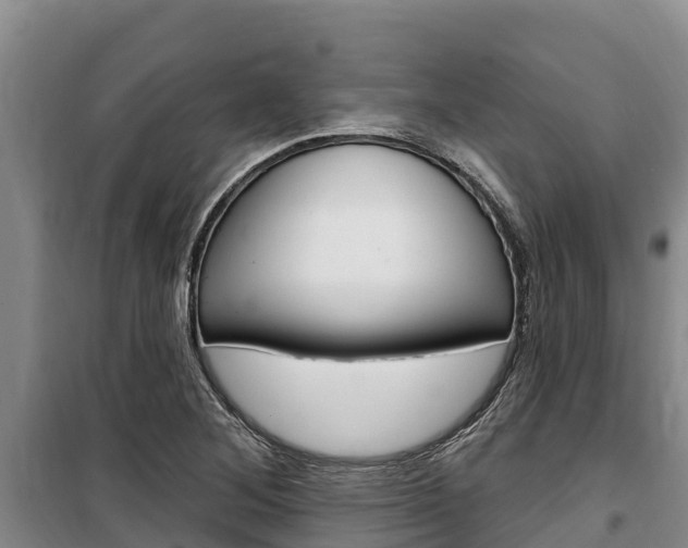 X0000100361268200806060815