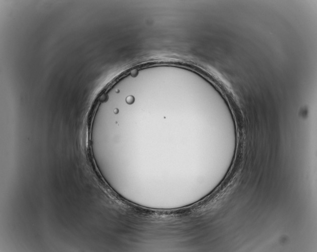 X0000100361269200806060815
