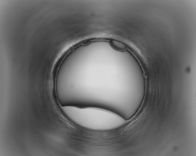 X0000100361270200806060815