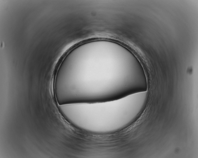 X0000100361272200806060815