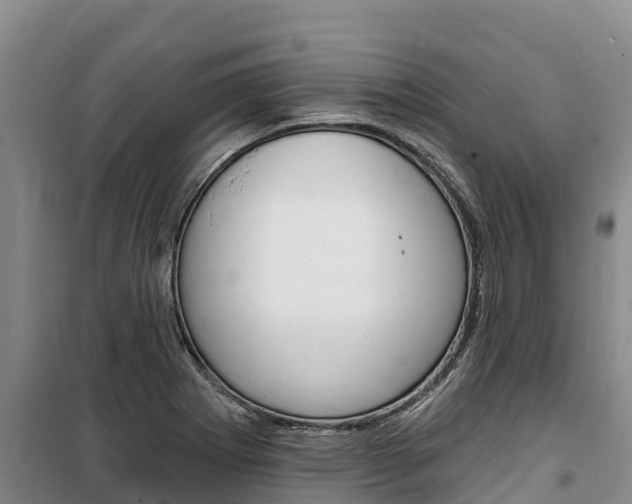 X0000100361273200806060815