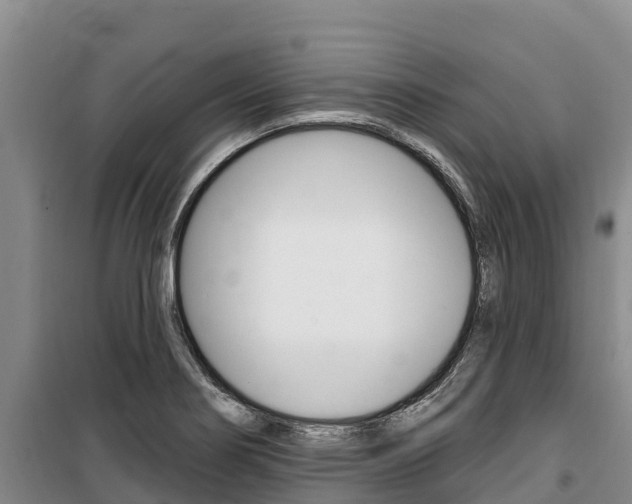 X0000100361274200806060815