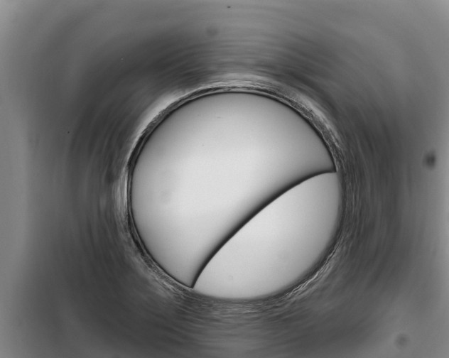 X0000100361275200806060815