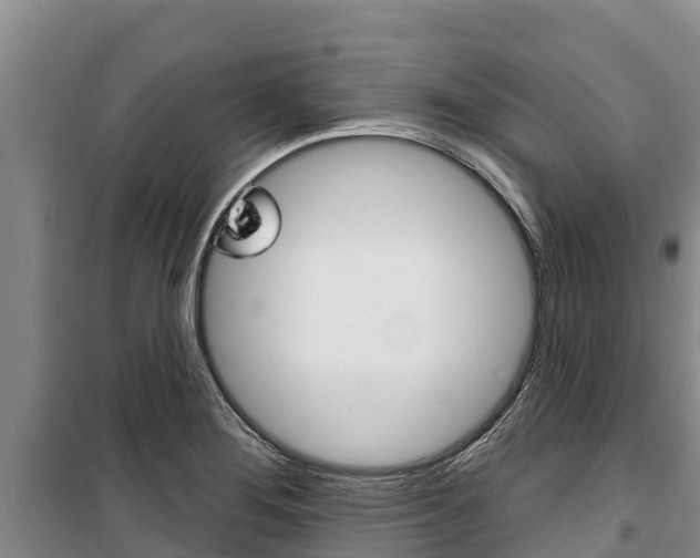X0000100361276200806060814