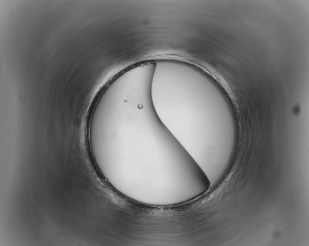 X0000100361277200806060814