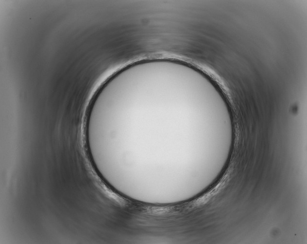 X0000100361278200806060814