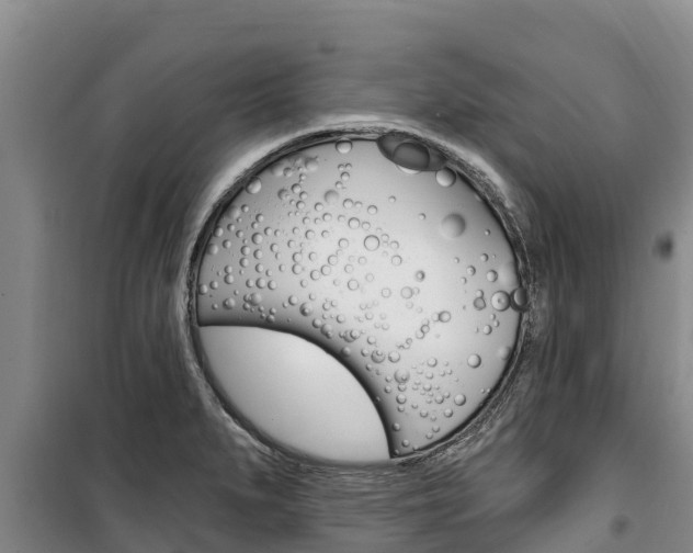 X0000100361279200806060814