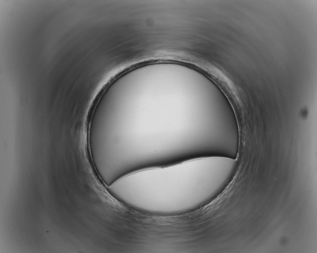X0000100361280200806060814