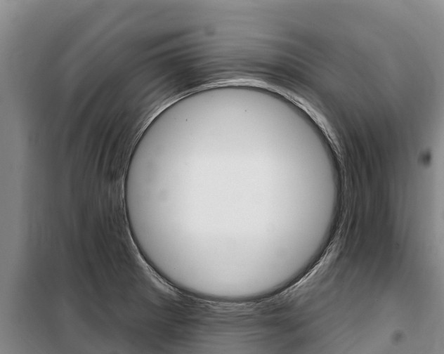 X0000100361281200806060814