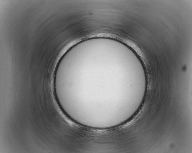 X0000100361282200806060814