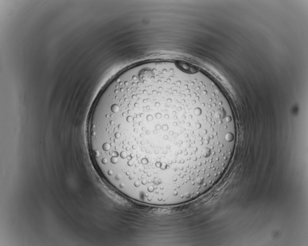 X0000100361283200806060814