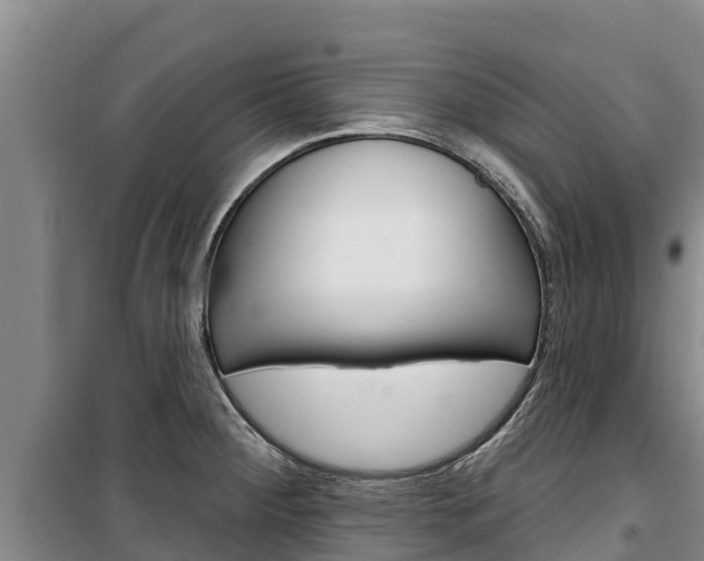 X0000100361284200806060814