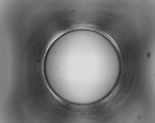 X0000100361285200806060814
