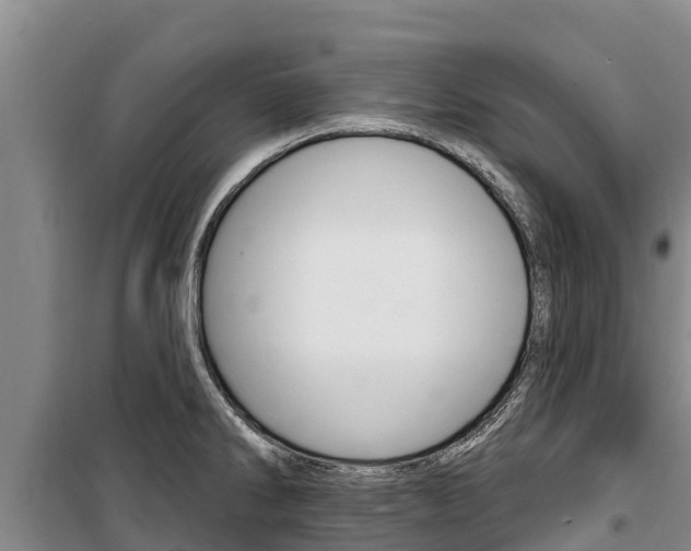 X0000100361286200806060814