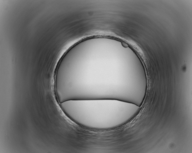 X0000100361287200806060814