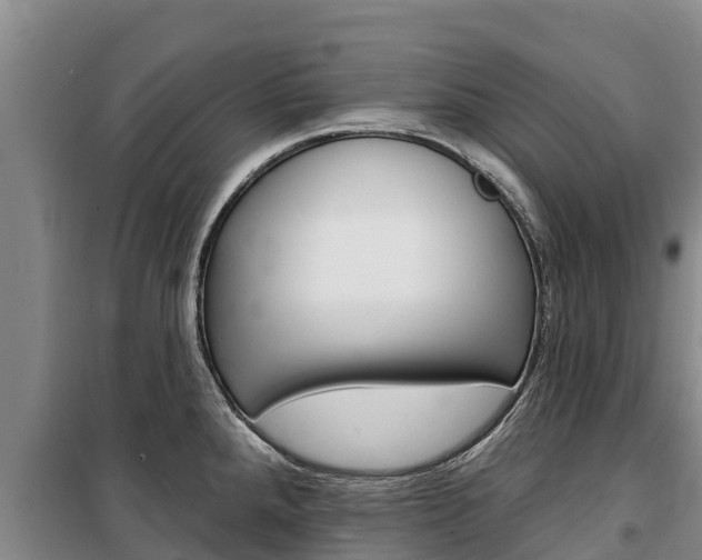 X0000100361288200806060814