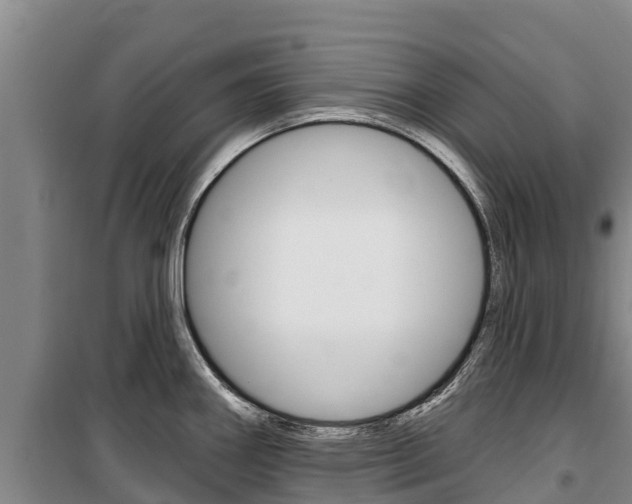 X0000100361290200806060814