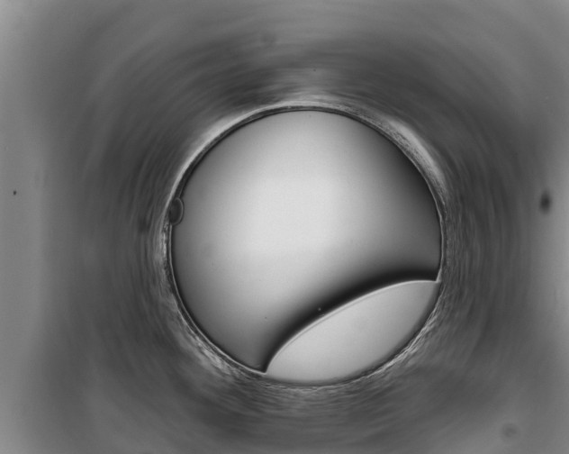 X0000100361292200806060814