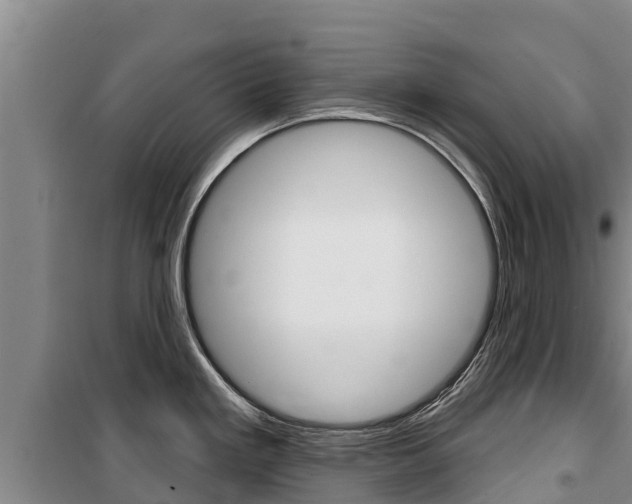 X0000100361293200806060814