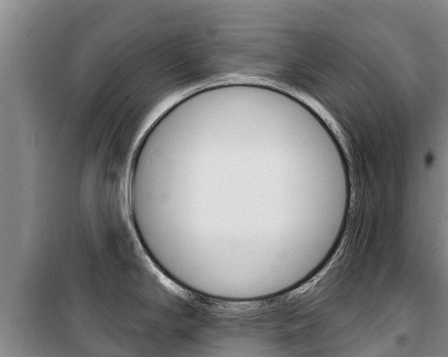 X0000100361294200806060814