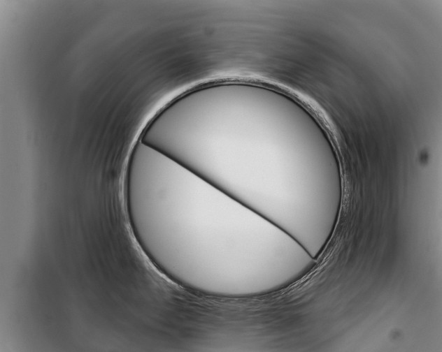 X0000100361295200806060814
