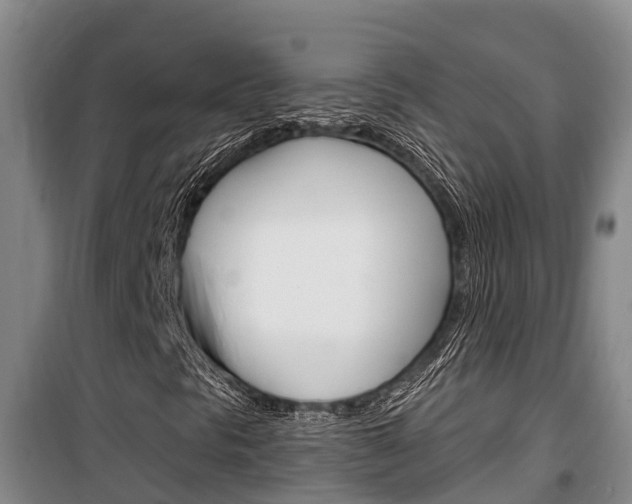 X0000100361297200806060814