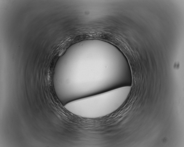 X0000100361298200806060814