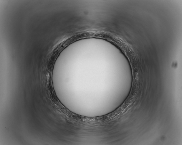 X0000100361302200806060814
