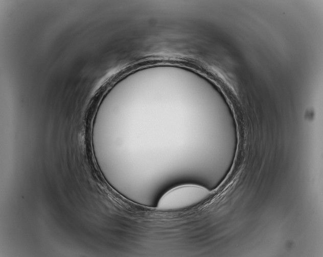 X0000100361307200806060814